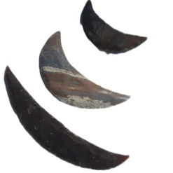 Stone Age Sickle Collection 3pk