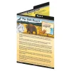 The Literacy Box 1 ages 5-7