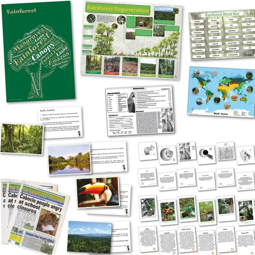 The Rainforest Resource Box and Curriculum Pack