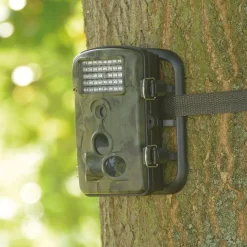 Time Lapse And Motion Activated Camera