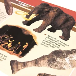 TTS 12,000BC to 2000AD Timeline 4m