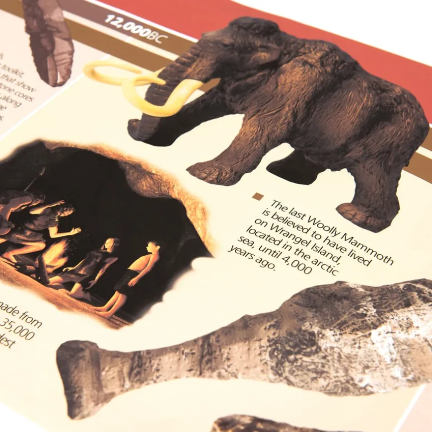TTS 12,000BC to 2000AD Timeline 4m