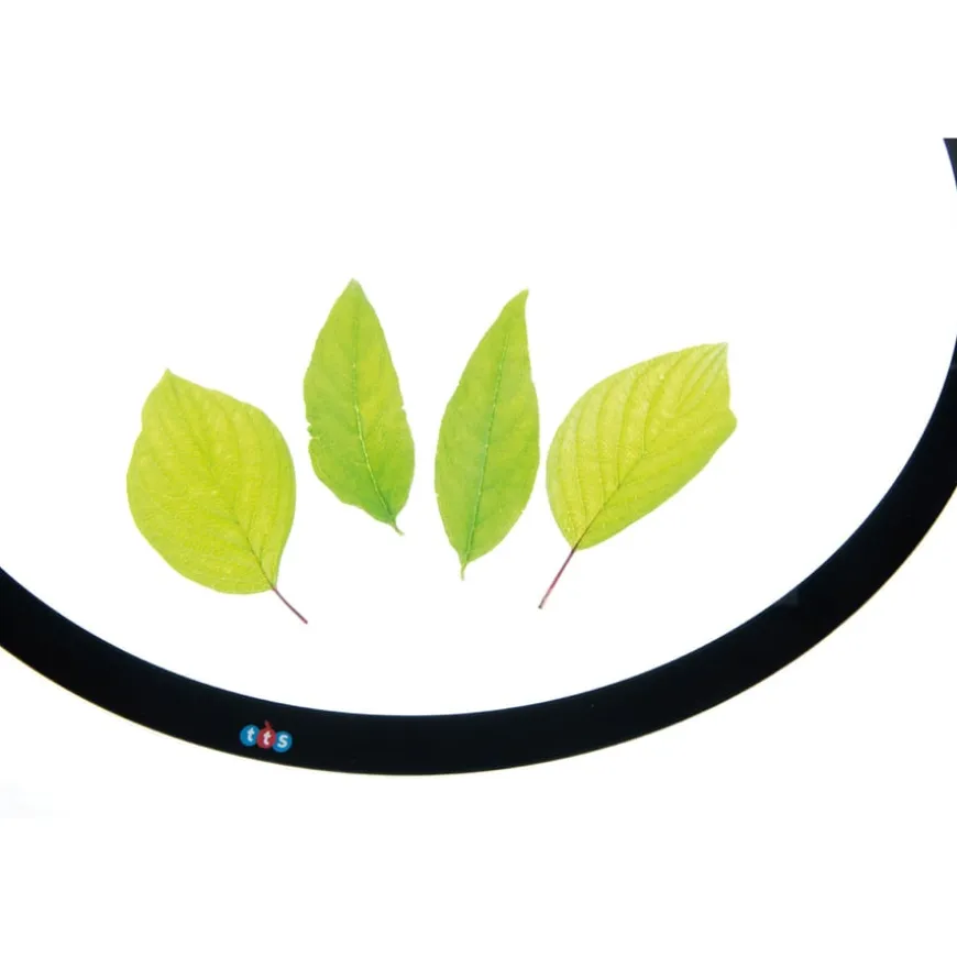 TTS Circular Light Panel D60cm
