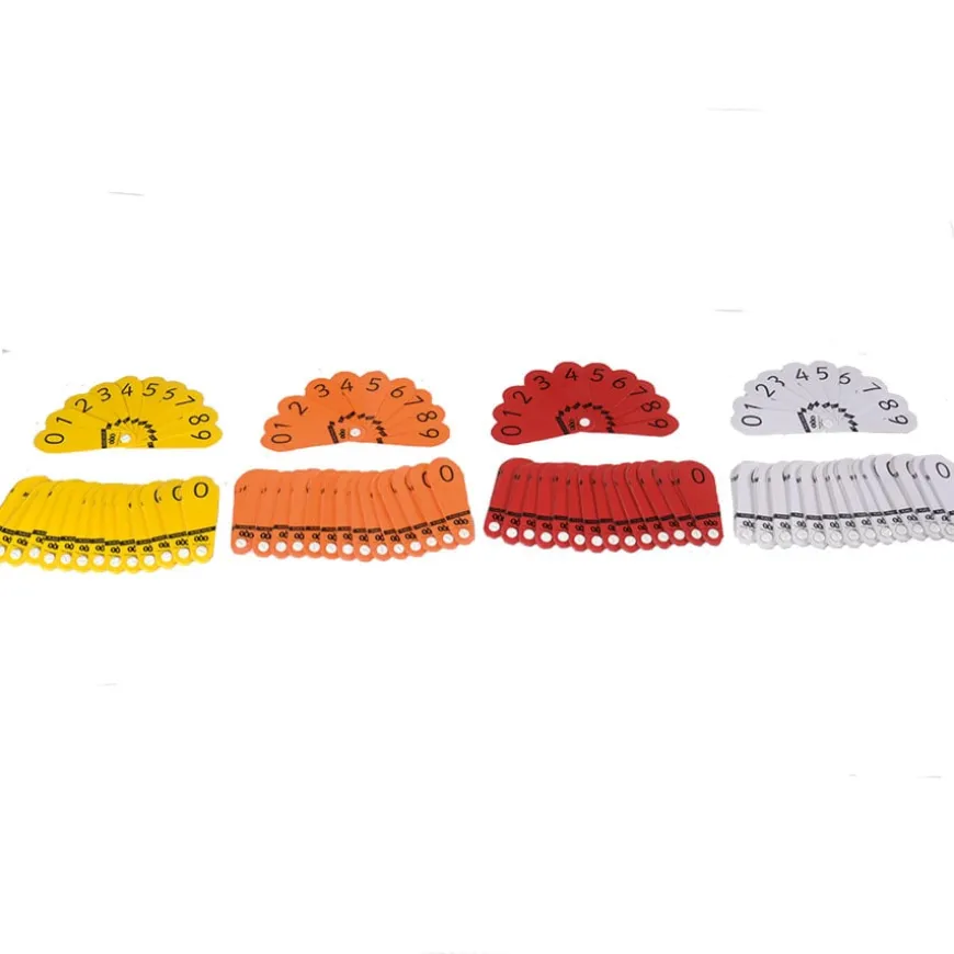 TTS Coloured Place Value Number Fans 60pk