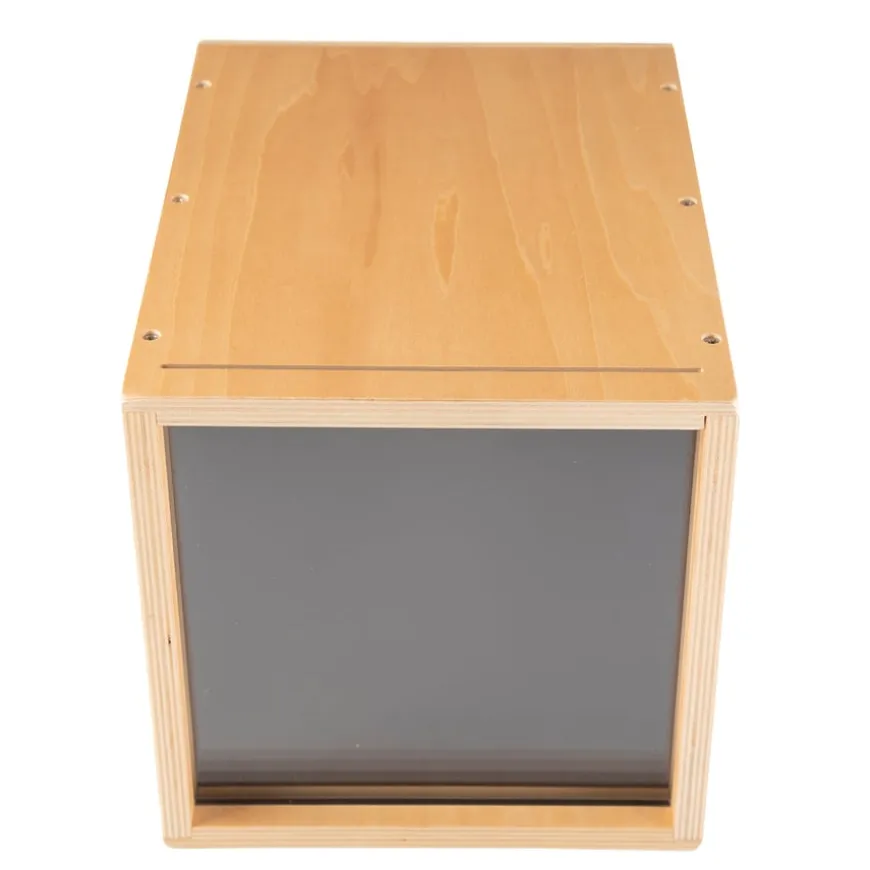 TTS Early Years Projector