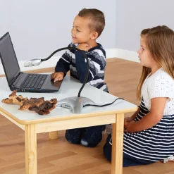 TTS Easi-View Visualiser
