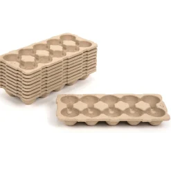 TTS Egg Box Maths Set