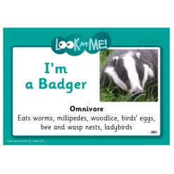 TTS Food Web - Activity Cards