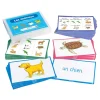 TTS French Animal Names Vocabulary Builder Activity Cards 46pk