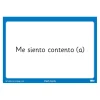 TTS French Feelings and Emotions Topic Cards 46pk
