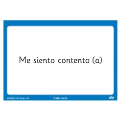 TTS French Feelings and Emotions Topic Cards 46pk