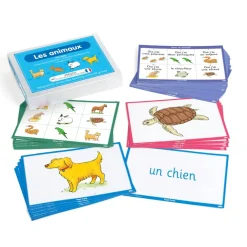 TTS French Vocabulary Builders Bumper 21pk