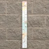 TTS Giant Classroom and Outdoor Thermometer