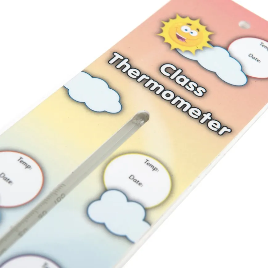 TTS Giant Classroom and Outdoor Thermometer
