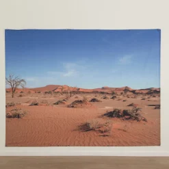 TTS Immersive Environments Backdrop Hot Landscape
