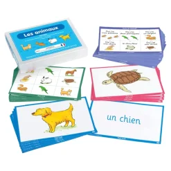 TTS KS2 French Starter Kit