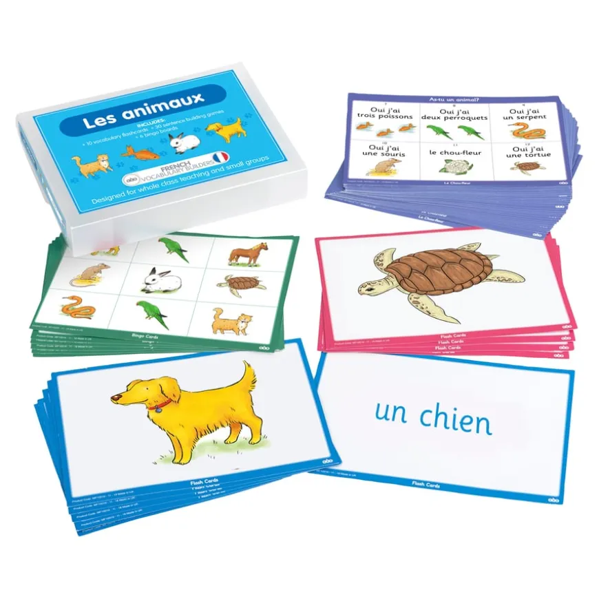 TTS KS2 French Starter Kit
