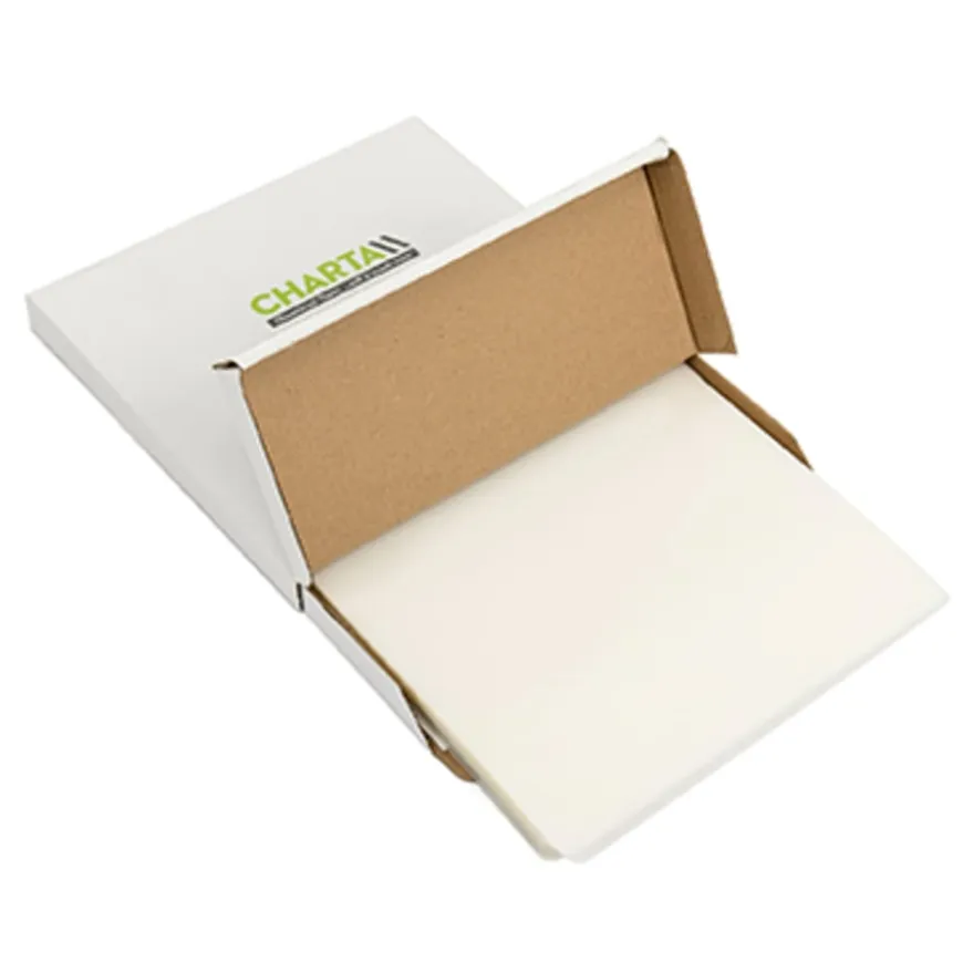 TTS Laminating Pouches 160 Micron 100pk