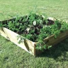 TTS Large Square Wooden Grow Bed