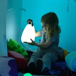 TTS Light up Lanterns