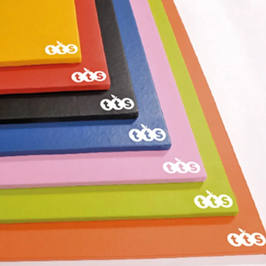 TTS Lightweight Gymnastics Mats