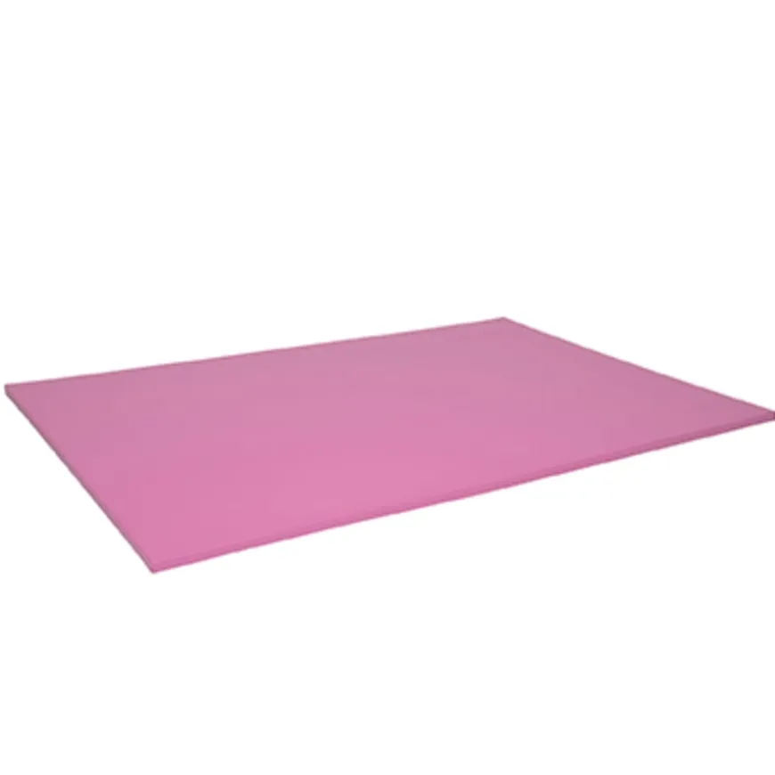 TTS Lightweight Gymnastics Mats