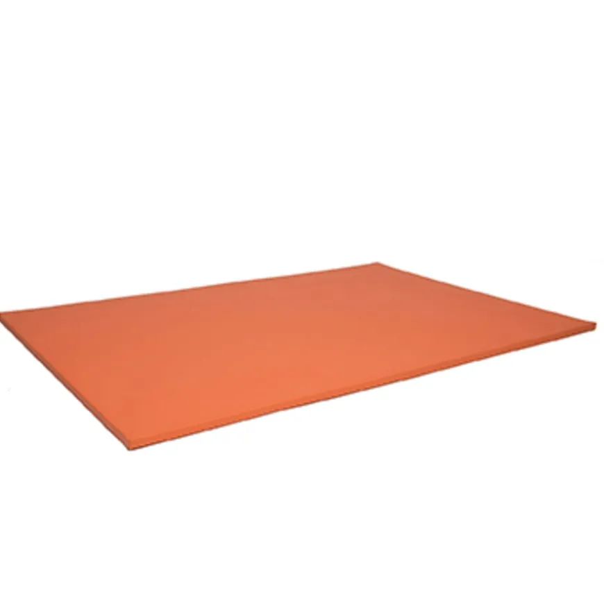 TTS Lightweight Gymnastics Mats
