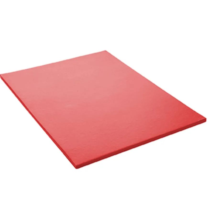 TTS Lightweight Gymnastics Mats