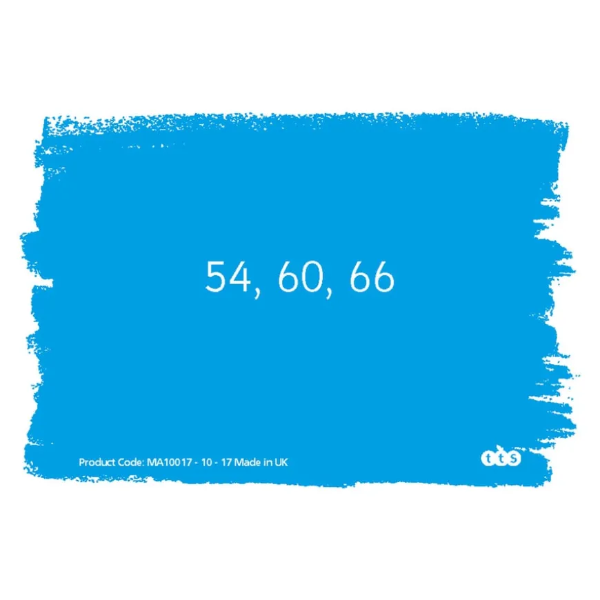 TTS Mastering Number and Place Value Activity Cards Year 4 100pk