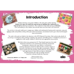 TTS Outdoor Maths Problem Solving Cards Year 2 30pk