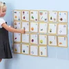 TTS Phonics Pocket Wall Chart