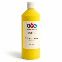 TTS Ready Mixed Paint 500ml