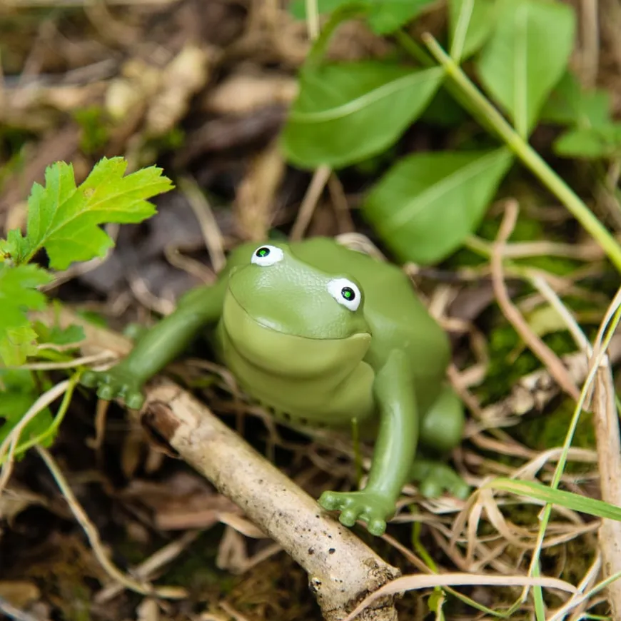TTS Recordable Talking Frogs 10pk