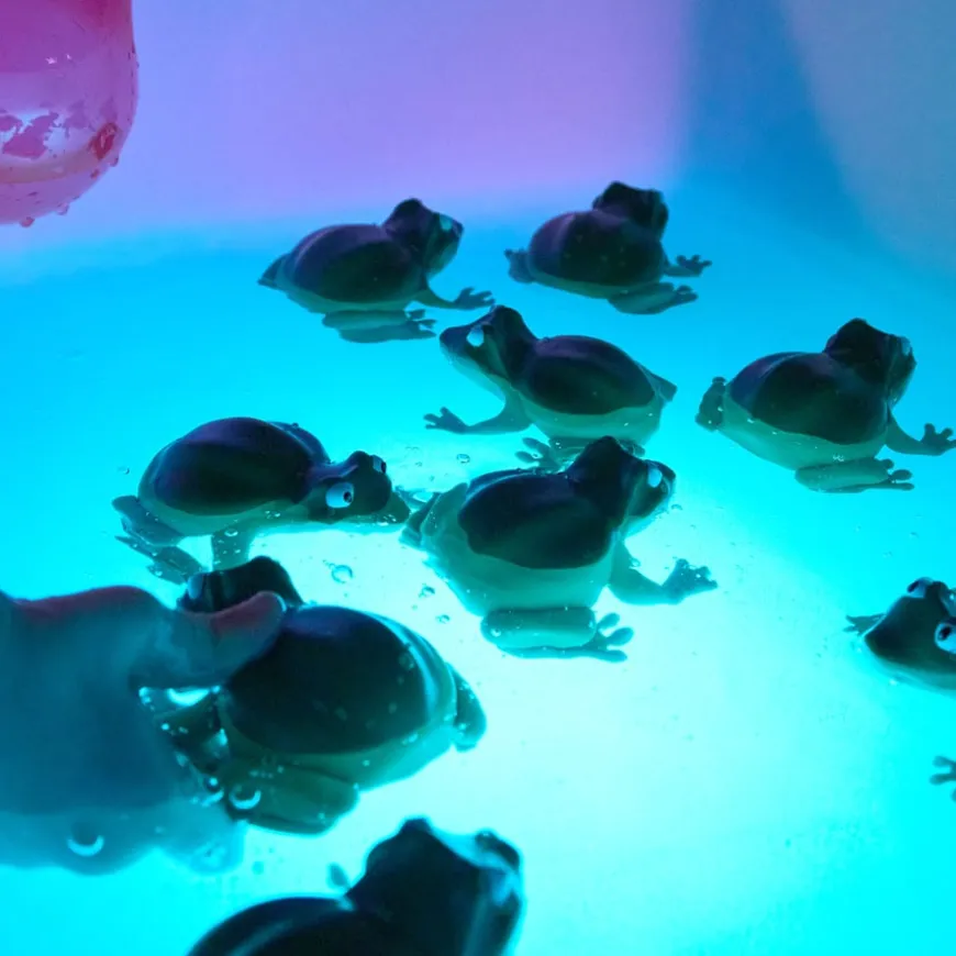 TTS Recordable Talking Frogs 10pk
