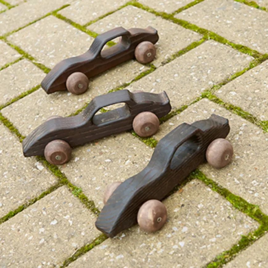 TTS Small World Outdoor Wooden Racing Cars 10pk