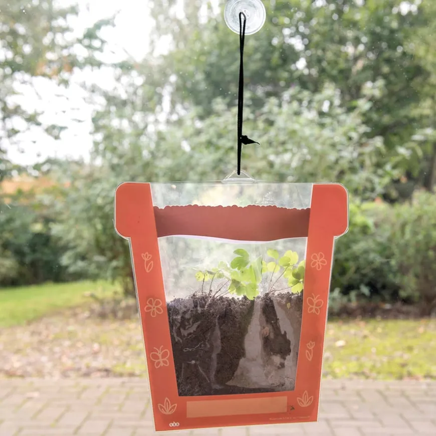 TTS Sow it and Grow it Plant Pots Pack