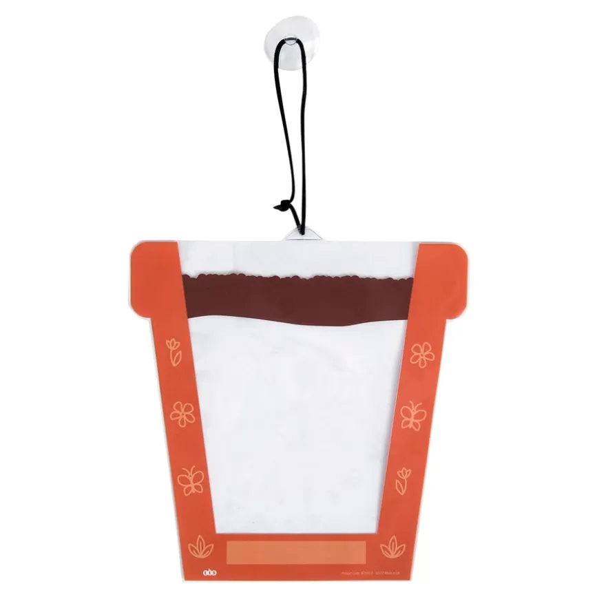 TTS Sow it and Grow it Plant Pots Pack