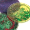 TTS Squidgy Sparkle Circles Fidget 5pk
