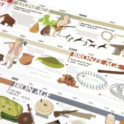 TTS Stone Age Archaeo-Box Artefact Collection KS2