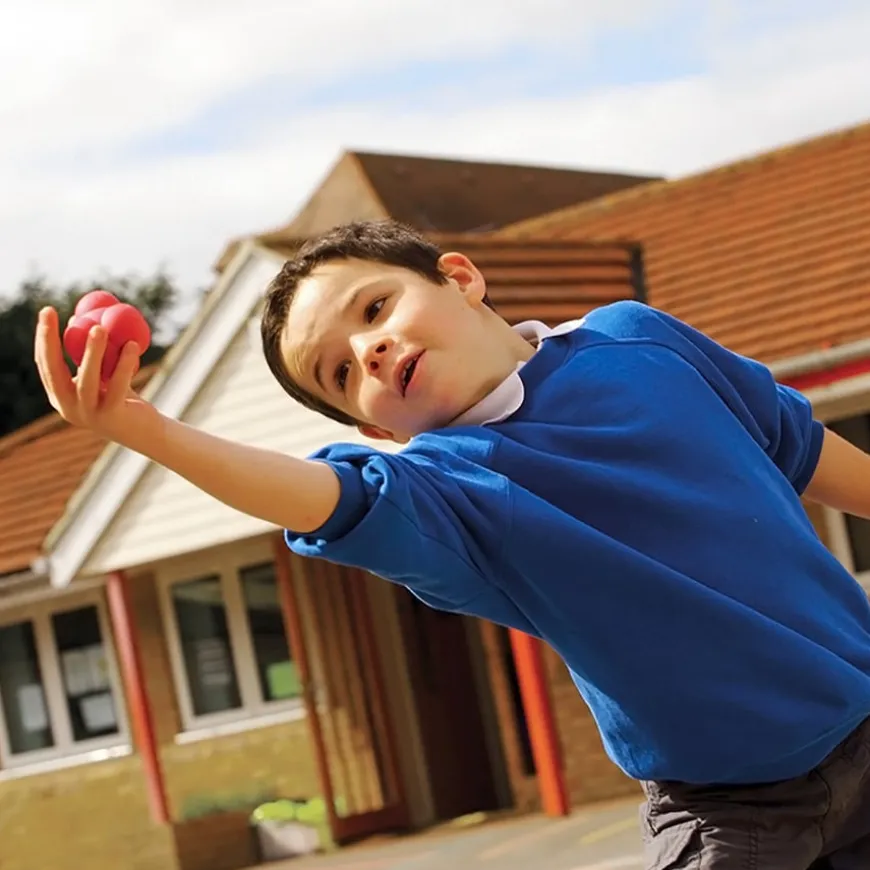 TTS Throw and Catch Playground Equipment Kit