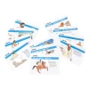 TTS Timeline of Ancient Greece 14pcs