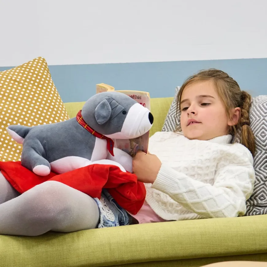 TTS Weighted Lap Buddies and Blanket