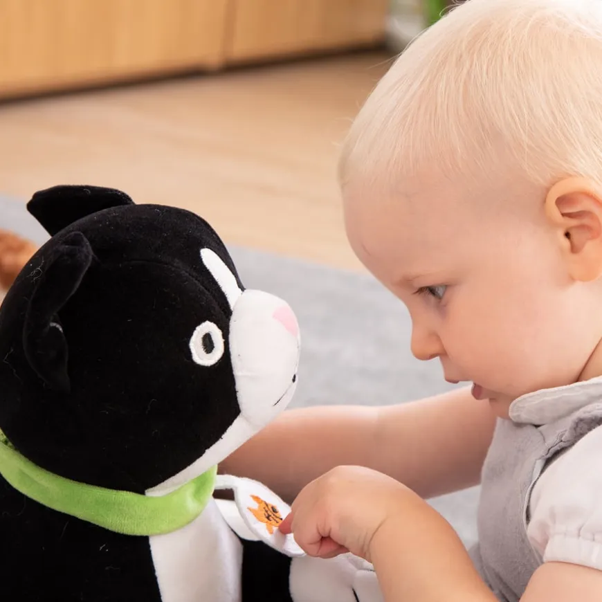 TTS Weighted Lap Buddies and Blanket