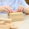TTS Wooden Building Bricks