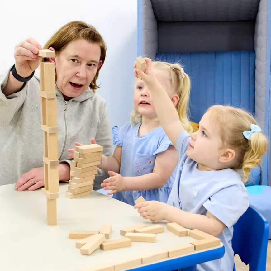 TTS Wooden Building Bricks
