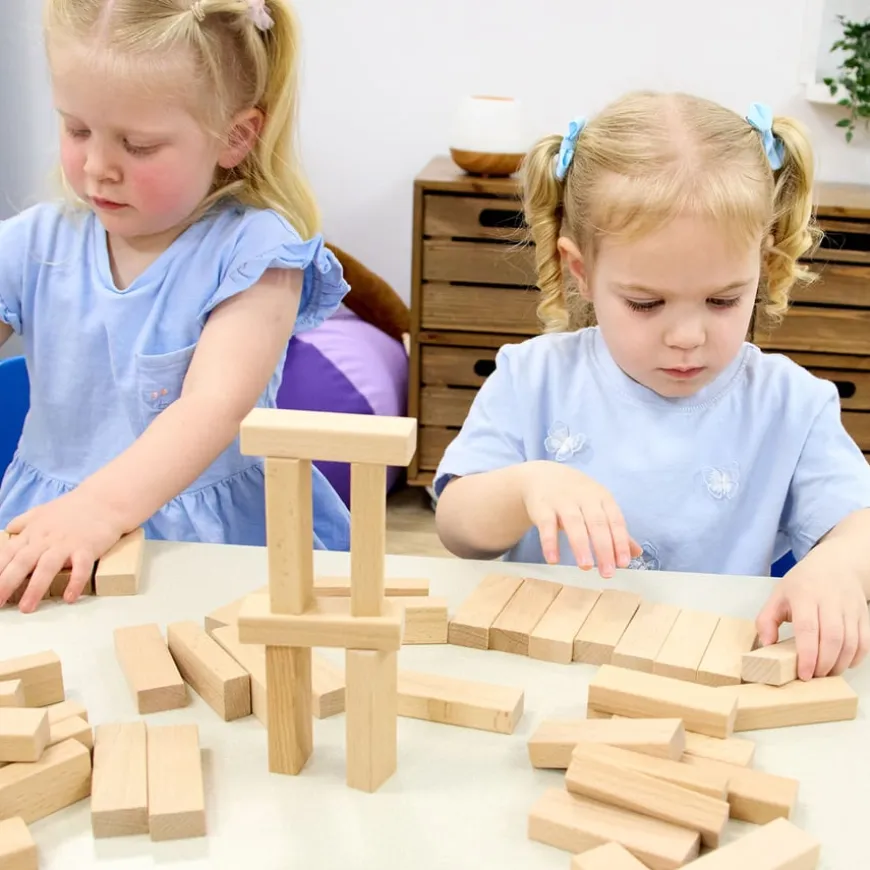TTS Wooden Building Bricks