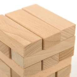 TTS Wooden Building Bricks