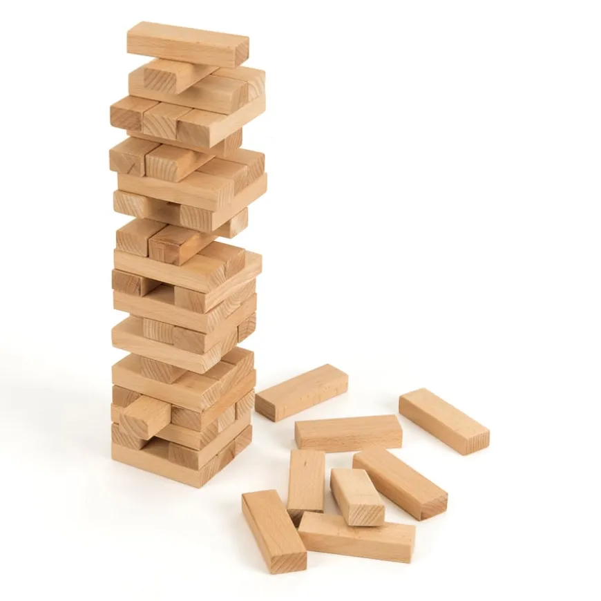 TTS Wooden Building Bricks
