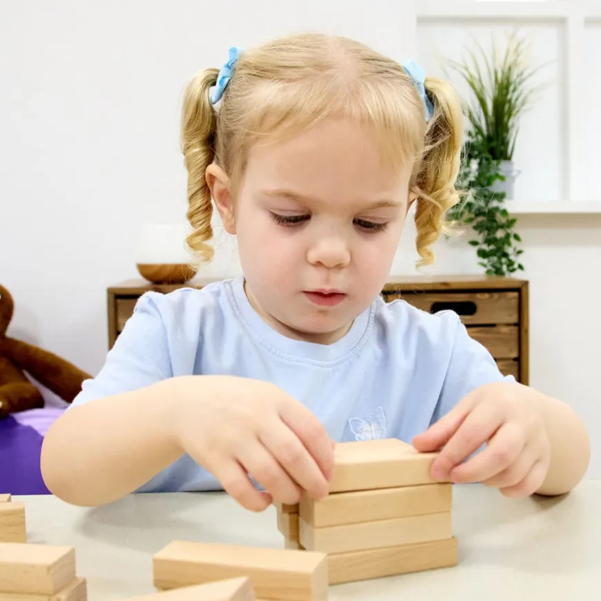 TTS Wooden Building Bricks