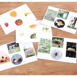 TTS Wooden Jigsaw Explorer Image Board